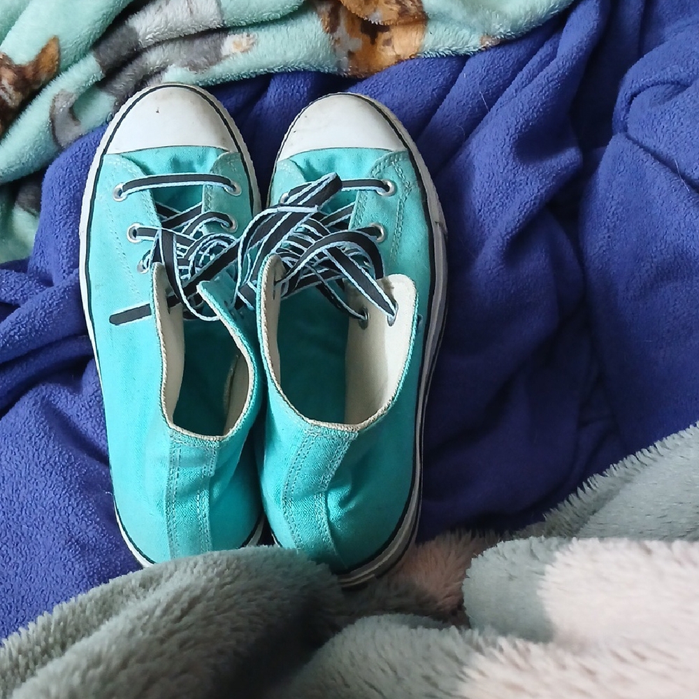 Converse Turquoise Canvas Sneakers